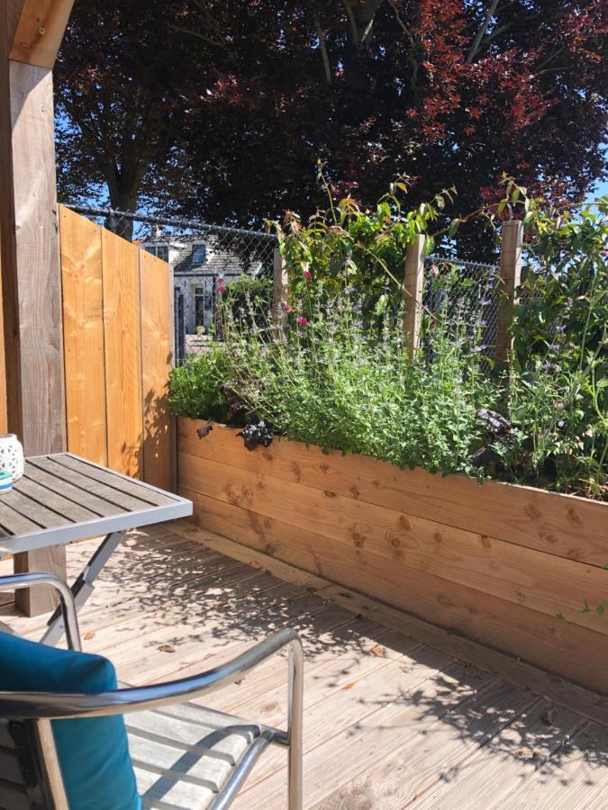Studio Appartement 1Nul9Noord Renesse Εξωτερικό φωτογραφία